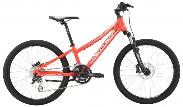 Велосипед Centurion R Bock 24-D Team (2018) Велосипед Centurion R Bock 24-D Team (2018)